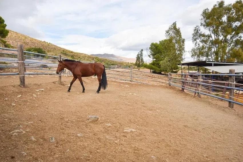 6 soveværelse Finca/Landehus til salg i Mijas Costa med garage - € 3.150.000 (Ref: 9433311)