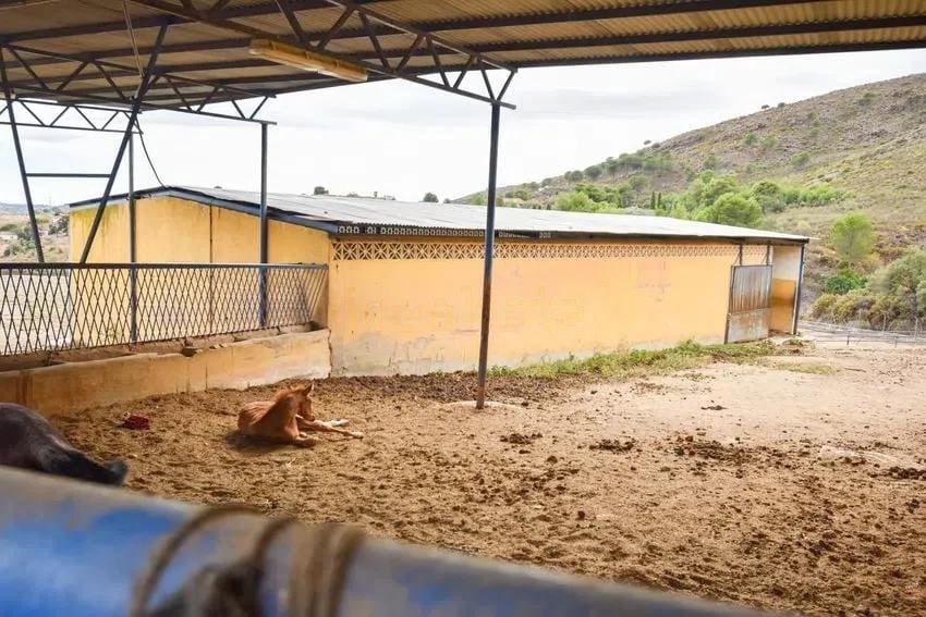 6 soveværelse Finca/Landehus til salg i Mijas Costa med garage - € 3.150.000 (Ref: 9433311)