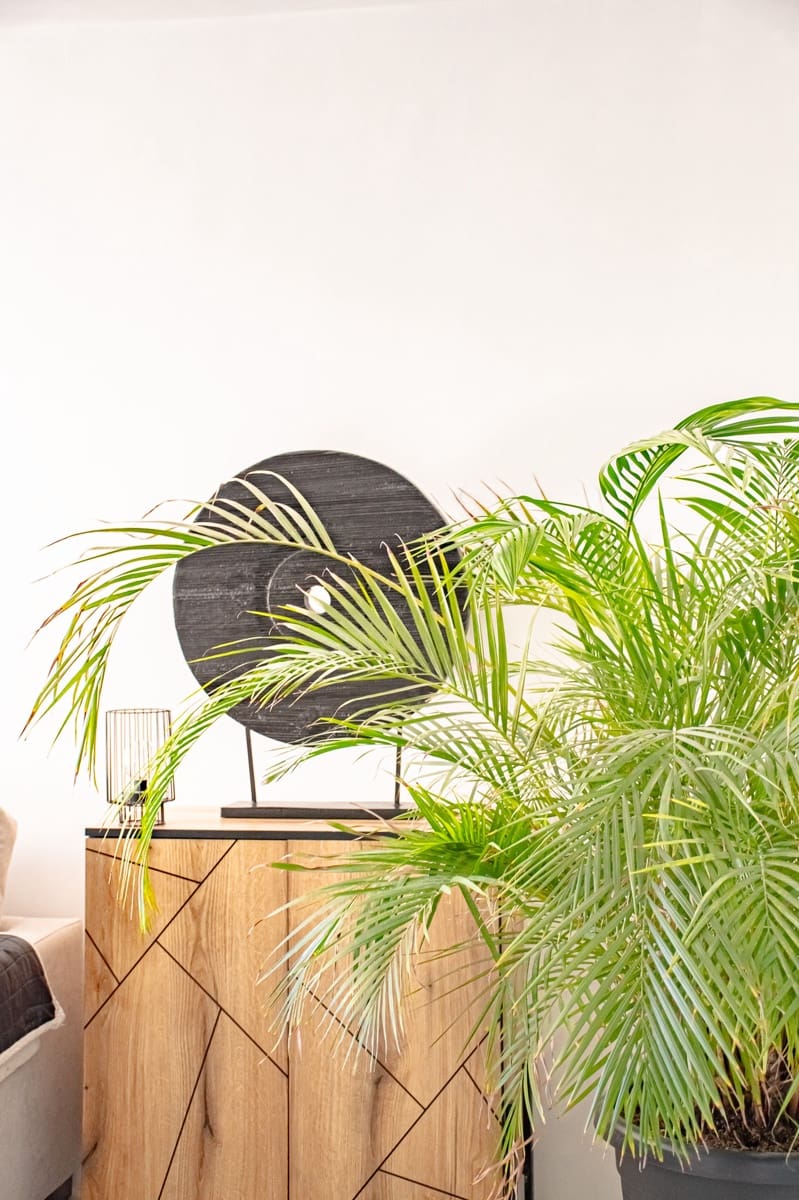 2 slaapkamer Huis te koop in New Golden Mile met zwembad garage - € 525.000 (Ref: 9446228)