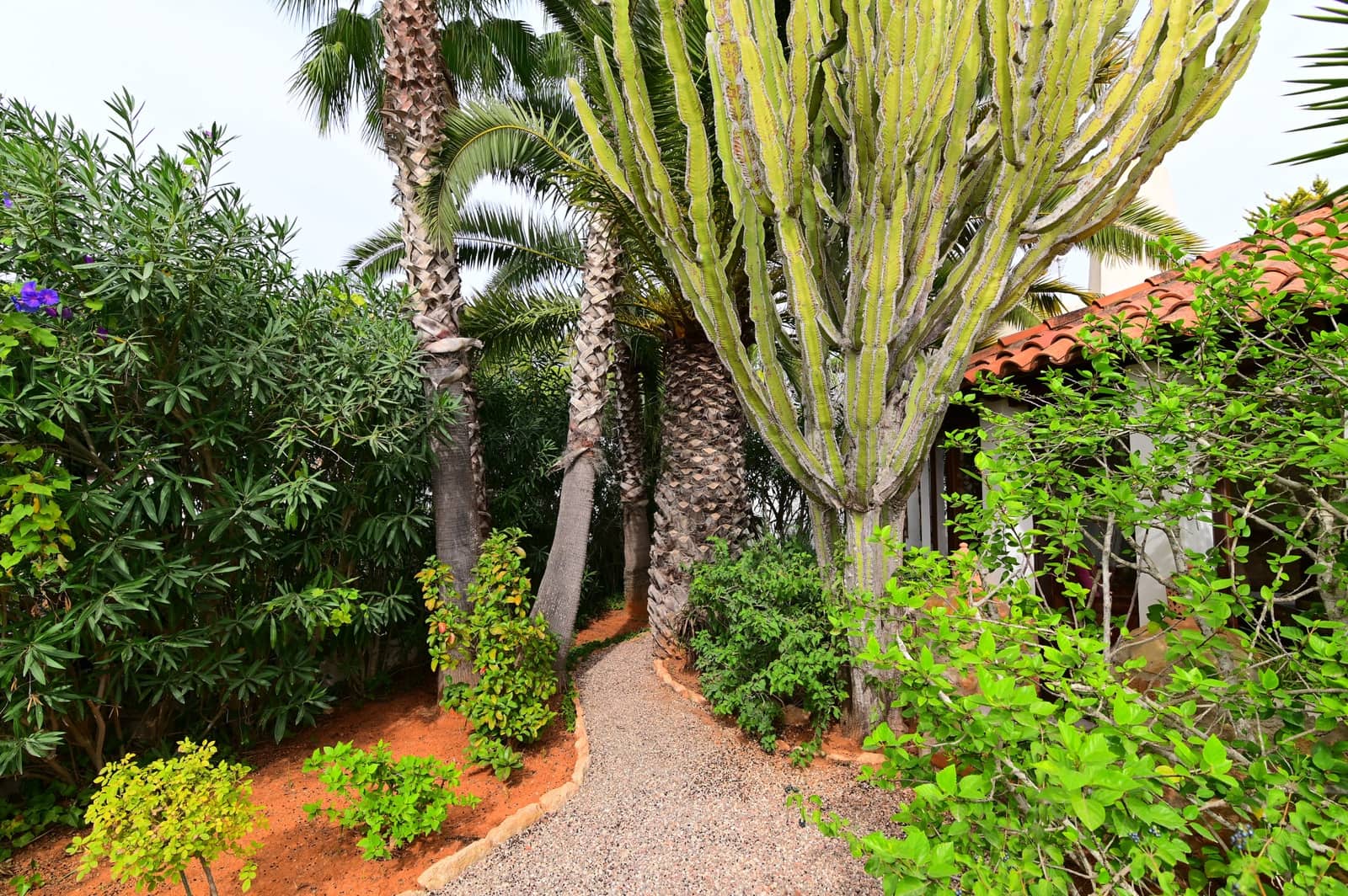 4 soveværelse Villa til salg i Santa Eulalia / Santa Eularia med garage - € 1.500.000 (Ref: 9452021)