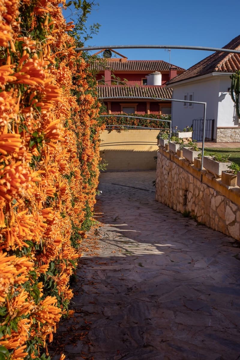 5 slaapkamer Villa te koop in Campo Mijas met zwembad garage - € 850.000 (Ref: 9540987)