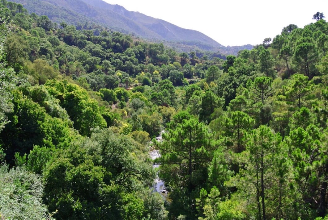 5 slaapkamer Finca/Landhuis te koop in Istan met garage - € 495.000 (Ref: 9570978)