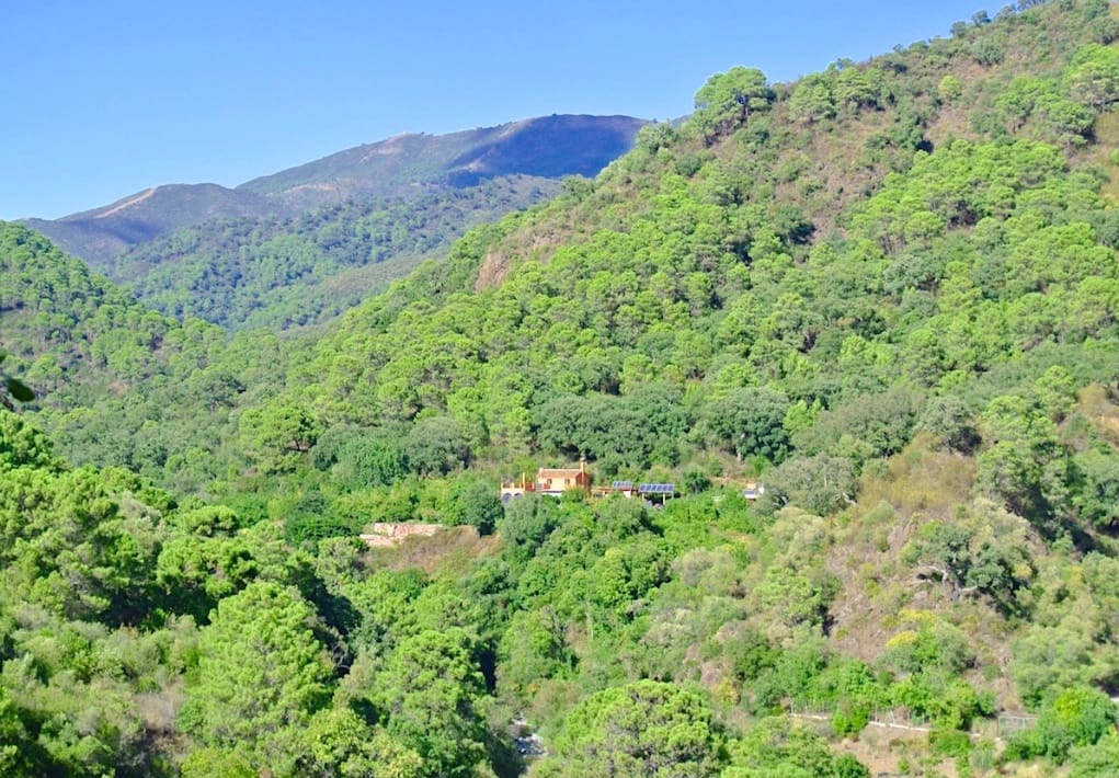 5 slaapkamer Finca/Landhuis te koop in Istan met garage - € 495.000 (Ref: 9570978)