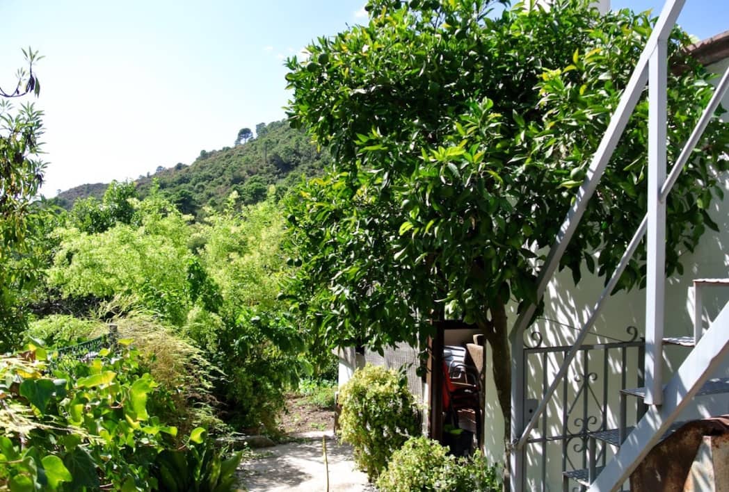5 bedroom Finca/Country House for sale in Istan with garage - € 540,000 (Ref: 9570978)