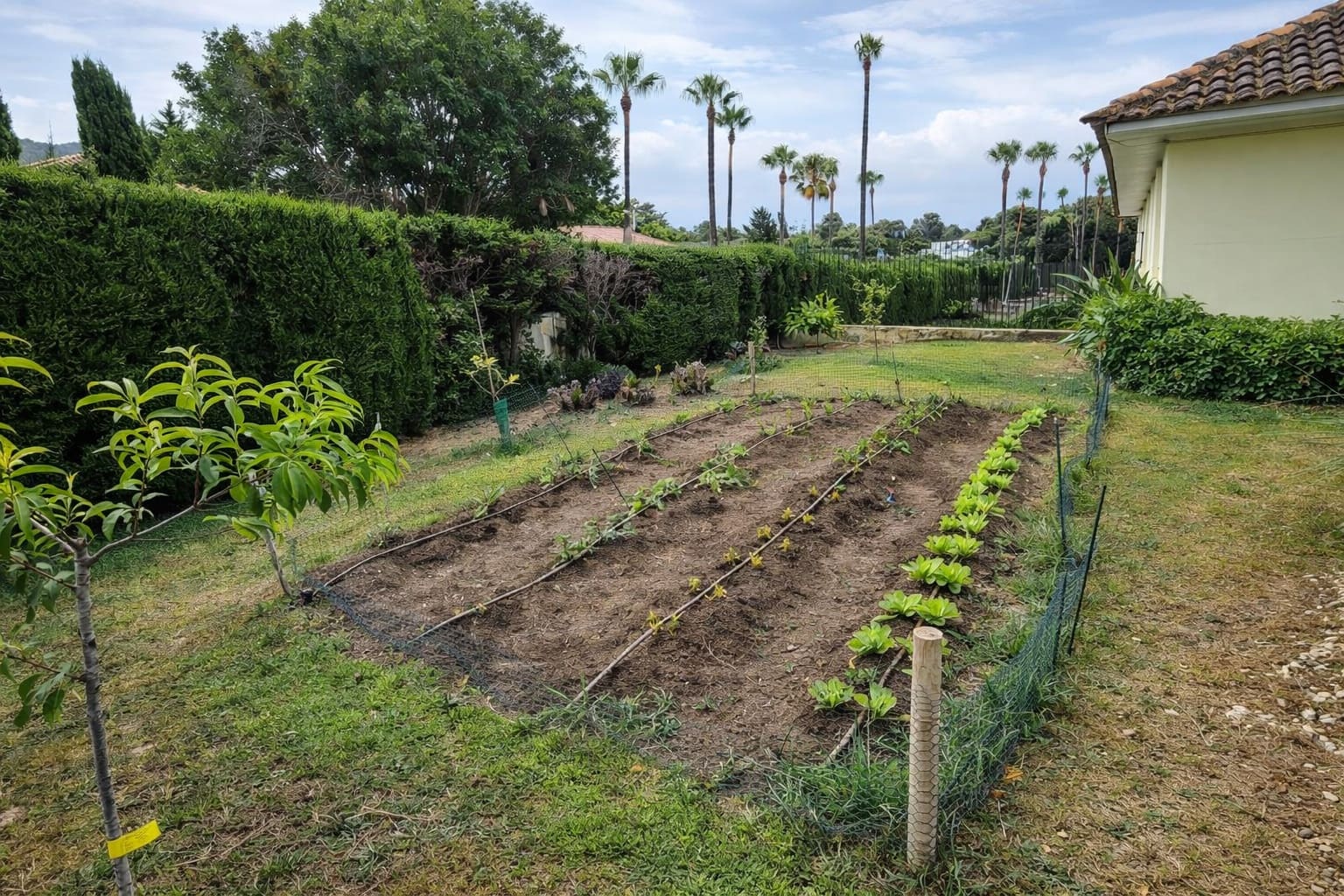 5 makuuhuone Huvila myytävänä paikassa Sotogrande mukana uima-altaan 
autotalli - 1 750 000 € (Ref: 9591124)