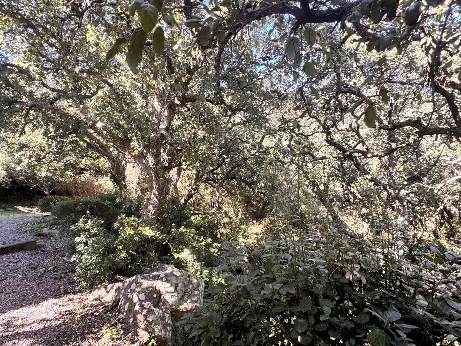 6 bedroom Villa for sale in Tarifa - € 1,950,000 (Ref: 9627632)