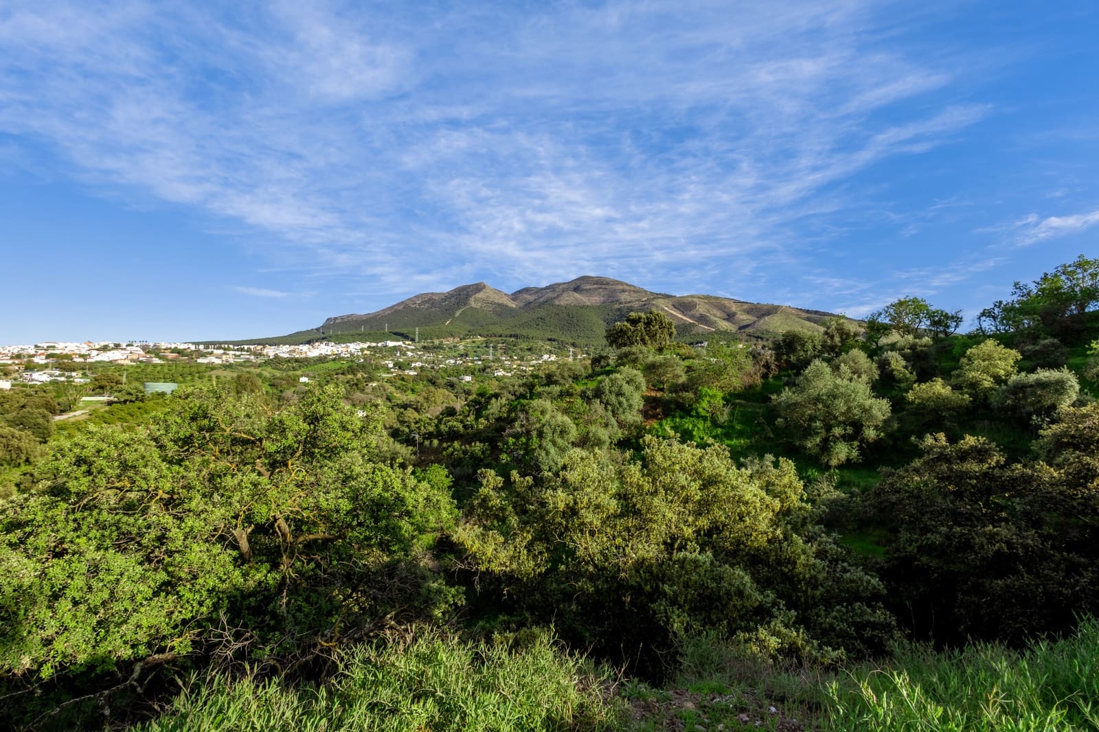 6 bedroom Finca/Country House for sale in Alhaurin el Grande with pool garage - € 755,000 (Ref: 9719814)