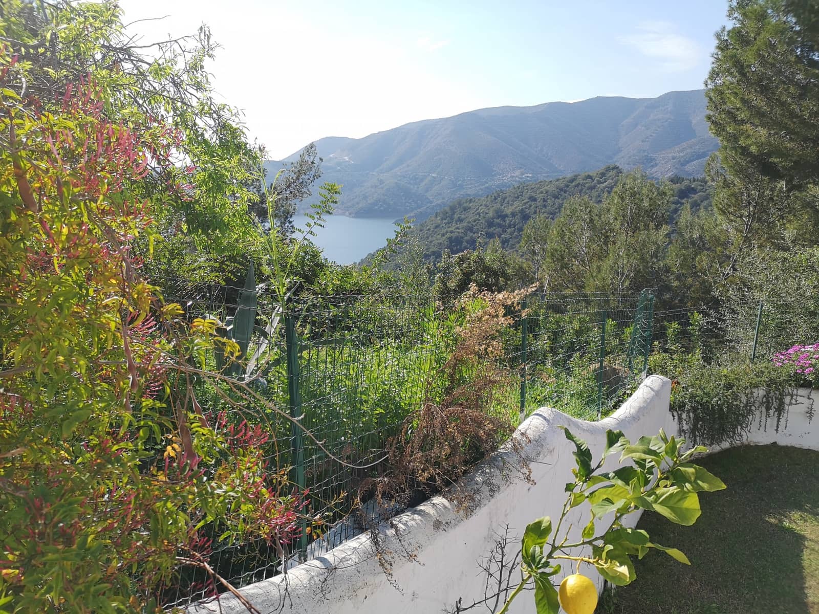 3 chambre Villa/Maison à vendre à Istan avec piscine - 650 000 € (Ref: 9729339)