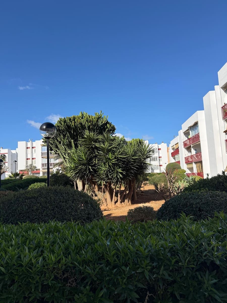 4 sypialnia Apartament na sprzedaż w Puig de'n Valls - 650 000 € (Ref: 9738638)