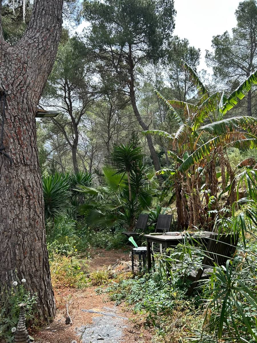 2 sovrum Lägenhet till salu i Cala Vadella med pool - 431 000 € (Ref: 9829249)
