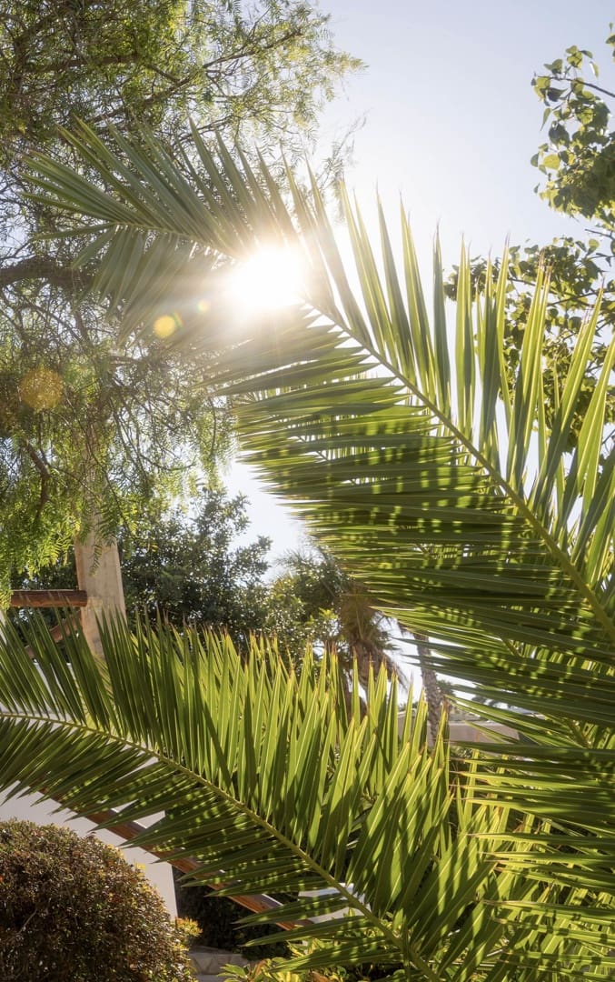 4 bedroom Villa for sale in Javea / Xabia with pool - € 790,000 (Ref: 9343730)