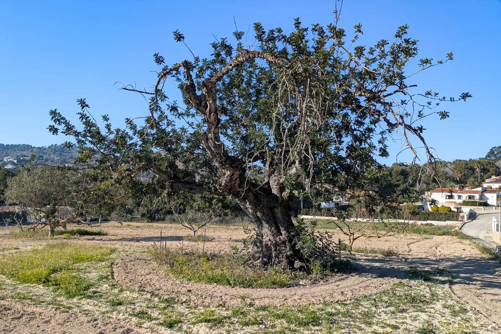 Villa for sale in Javea / Xabia - € 725,000 (Ref: 9720629)