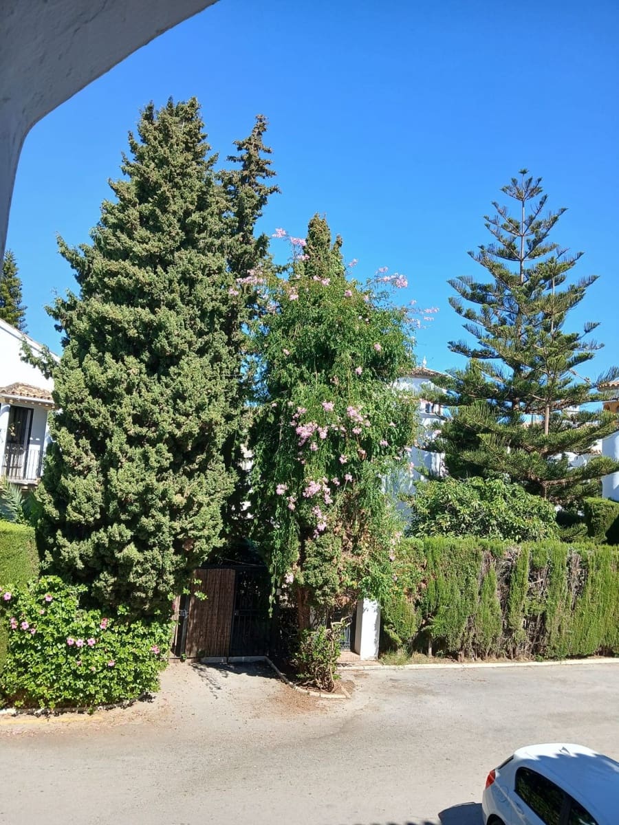 3 soverom Hus til leie i Bel-Air med svømmebasseng garasje - € 2 500 (Ref: 10156860)