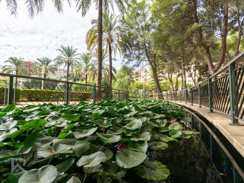Negocio de 3 habitaciones en Gandia en venta con garaje - 199.000 € (Ref: 10025391)