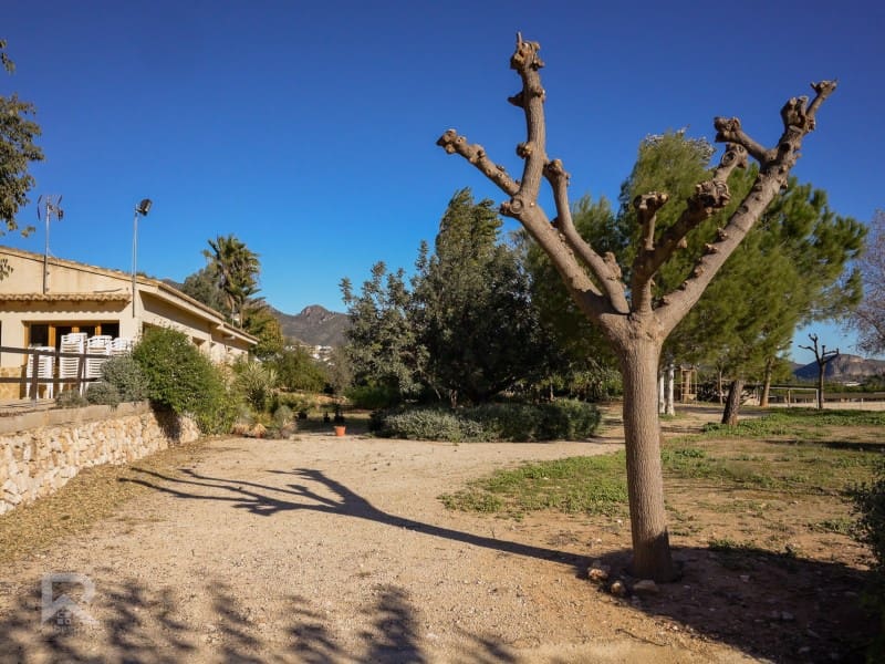 4 quarto Quinta/Casa Rural para venda em Gandia - 1 300 000 € (Ref: 7364584)