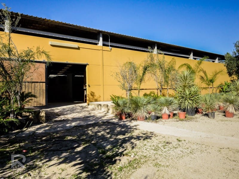 4 quarto Quinta/Casa Rural para venda em Gandia - 1 300 000 € (Ref: 7364584)
