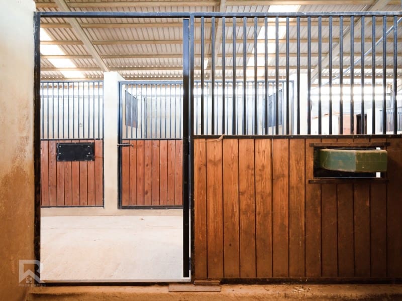 4 quarto Quinta/Casa Rural para venda em Gandia - 1 300 000 € (Ref: 7364584)