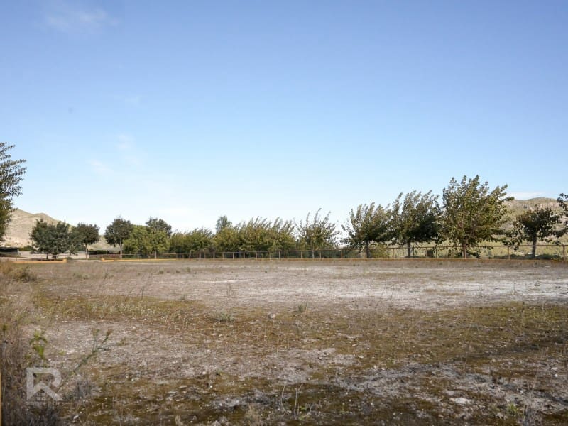 4 quarto Quinta/Casa Rural para venda em Gandia - 1 300 000 € (Ref: 7364584)