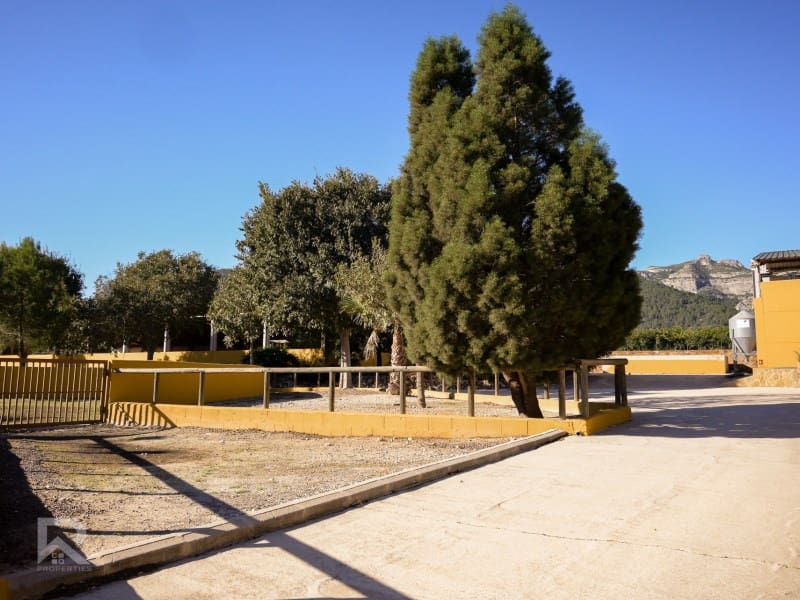 4 quarto Quinta/Casa Rural para venda em Gandia - 1 300 000 € (Ref: 7364584)