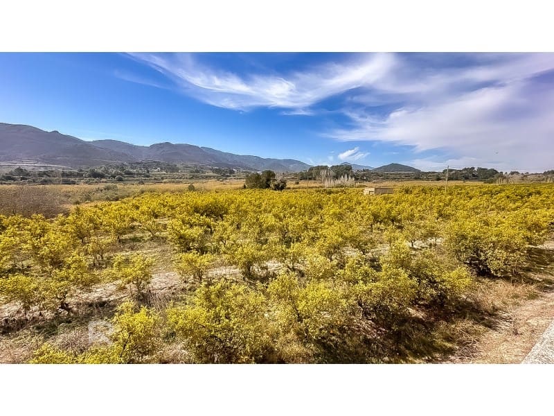 3 slaapkamer Finca/Landhuis te koop in Benicolet - € 159.000 (Ref: 8245562)