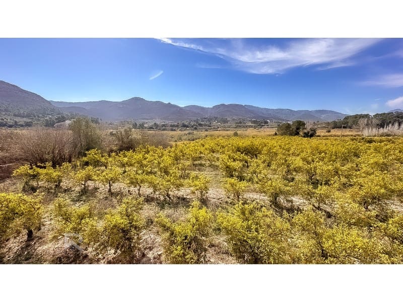 3 slaapkamer Finca/Landhuis te koop in Benicolet - € 159.000 (Ref: 8245562)