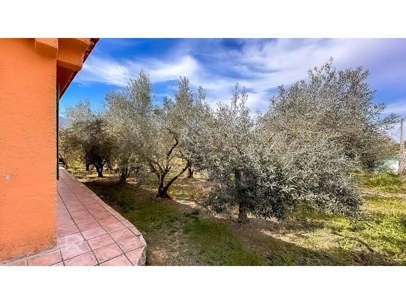 3 slaapkamer Finca/Landhuis te koop in Benicolet - € 159.000 (Ref: 8245562)