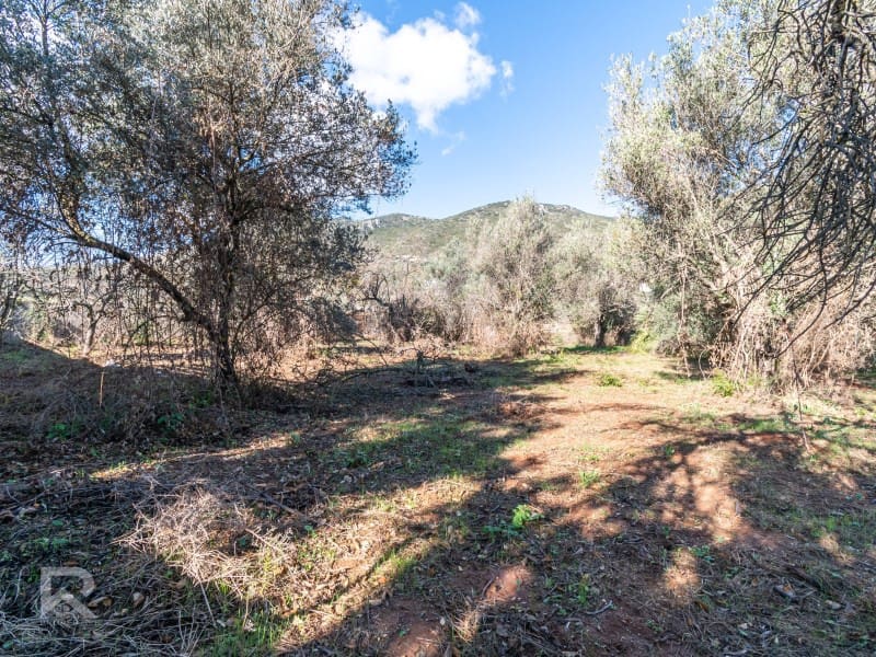 3 soverom Finca/Herregård til salgs i Villalonga med garasje - € 168 000 (Ref: 9414547)