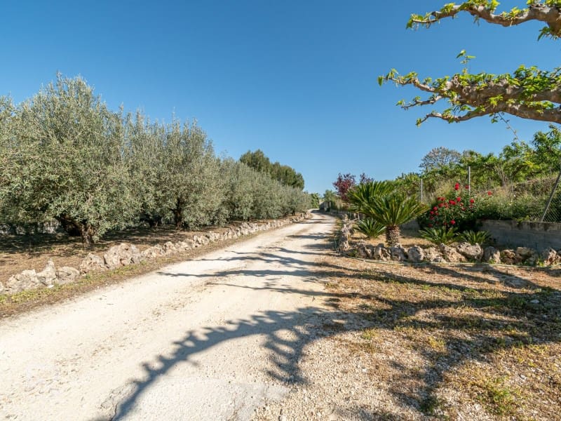 13 sypialnia Willa na sprzedaż w Llutxent z garażem - 485 000 € (Ref: 9784539)