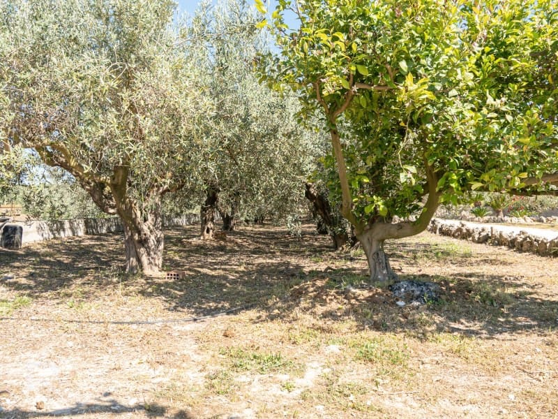 13 sypialnia Willa na sprzedaż w Llutxent z garażem - 485 000 € (Ref: 9784539)