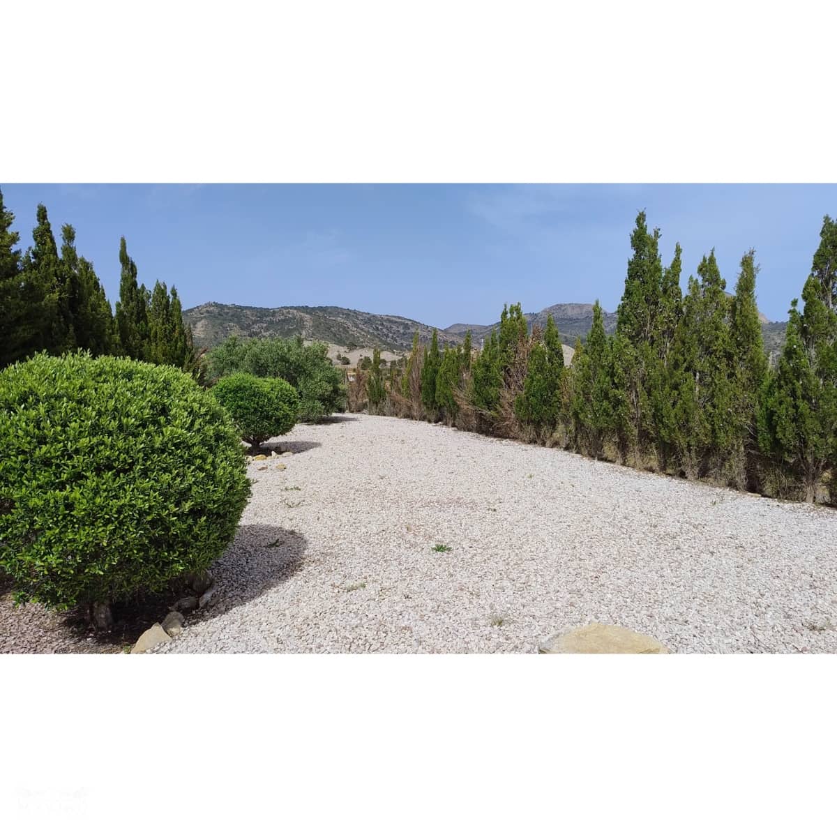 4 chambre Villa/Maison à vendre à Las Casicas avec piscine - 299 995 € (Ref: 10062437)