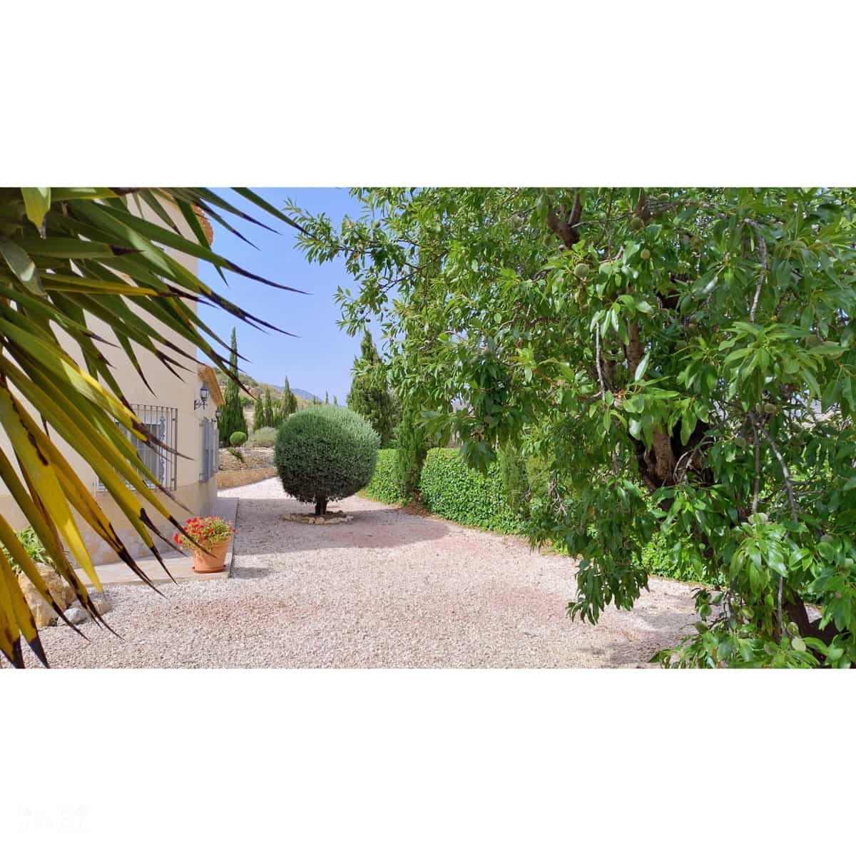4 chambre Villa/Maison à vendre à Las Casicas avec piscine - 299 995 € (Ref: 10062437)