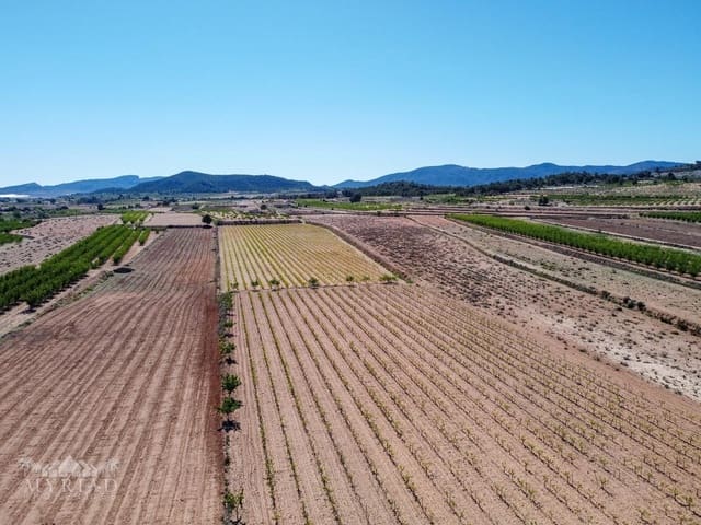 Area Edificabile in vendita in Ubeda, Pinoso - 222.000 € (Rif: 10062441)