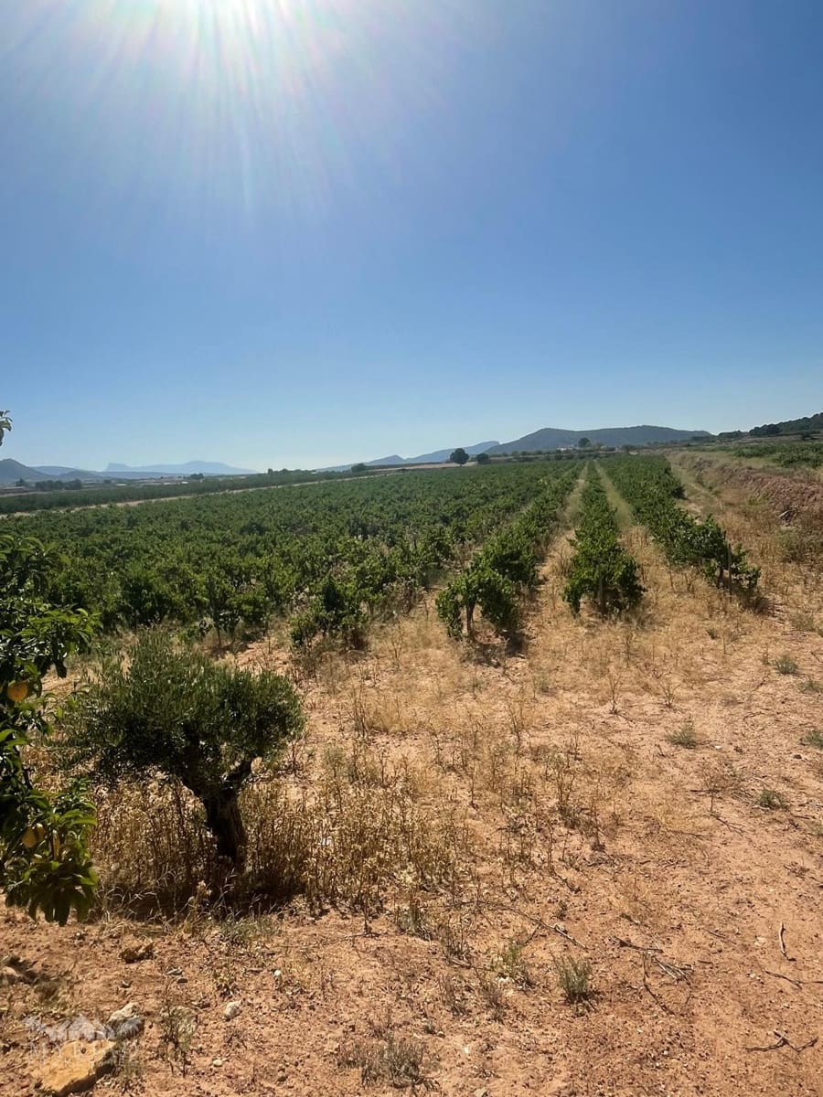 Bouwgrond te koop in Ubeda - € 222.000 (Ref: 10062441)