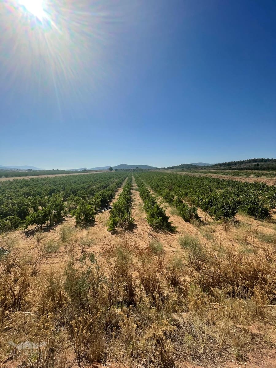 Bouwgrond te koop in Ubeda - € 222.000 (Ref: 10062441)