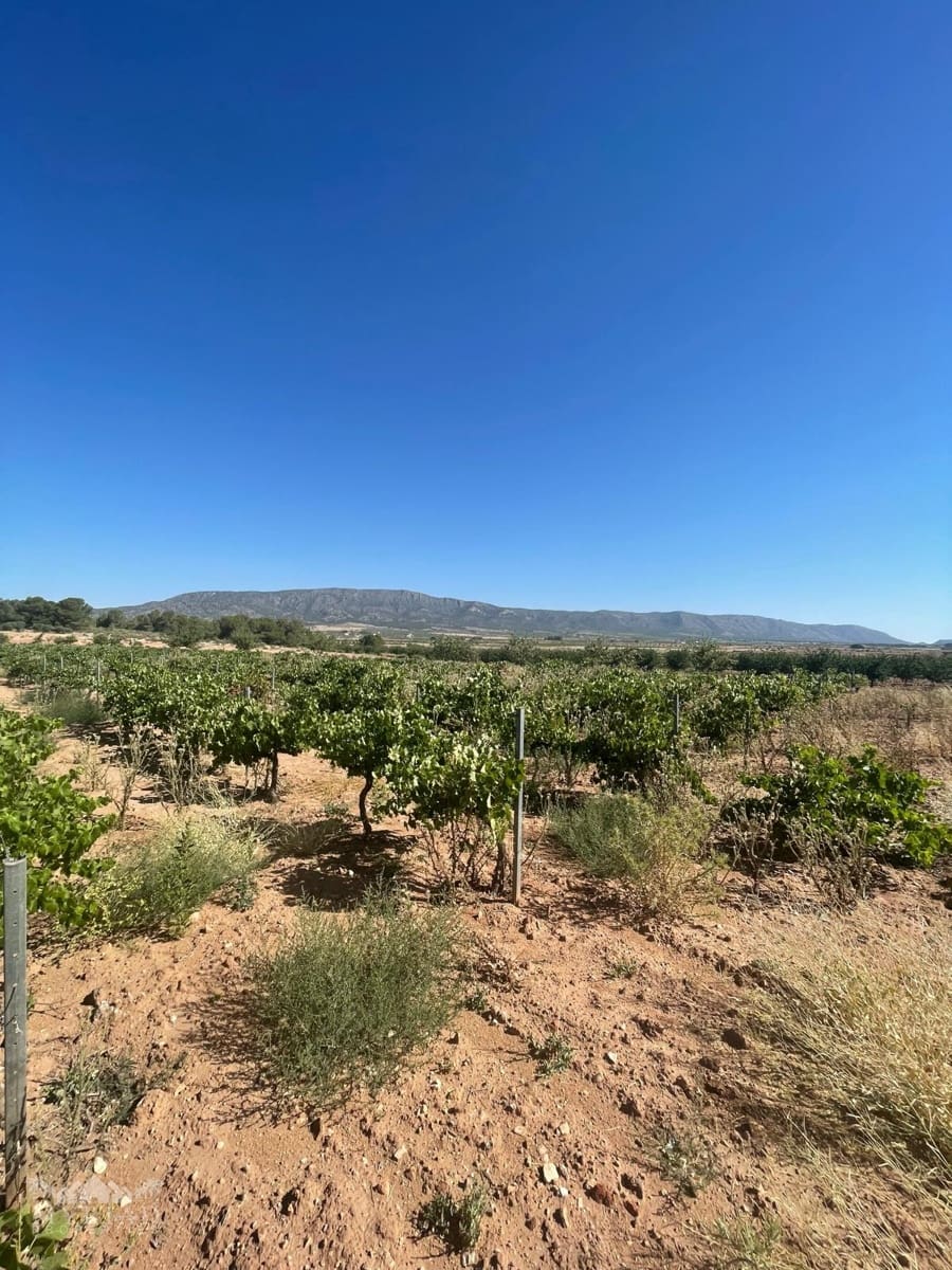 Bouwgrond te koop in Ubeda - € 222.000 (Ref: 10062441)