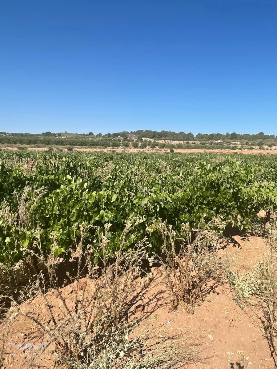 Bouwgrond te koop in Ubeda - € 222.000 (Ref: 10062441)