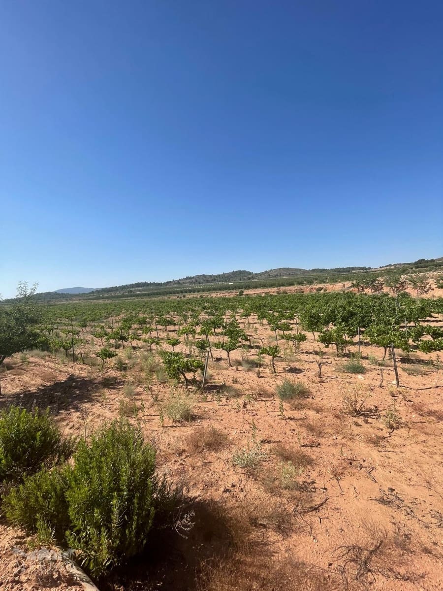 Bouwgrond te koop in Ubeda - € 222.000 (Ref: 10062441)