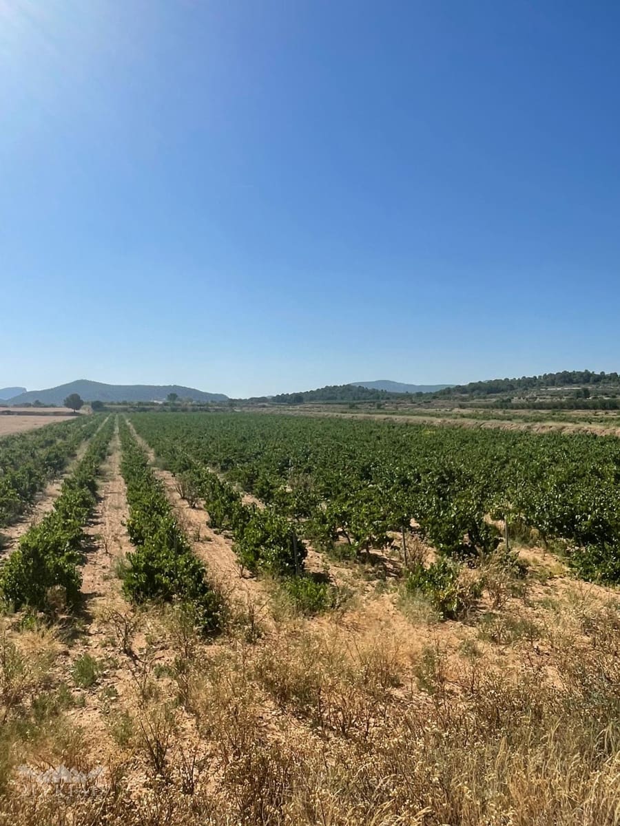 Bouwgrond te koop in Ubeda - € 222.000 (Ref: 10062441)