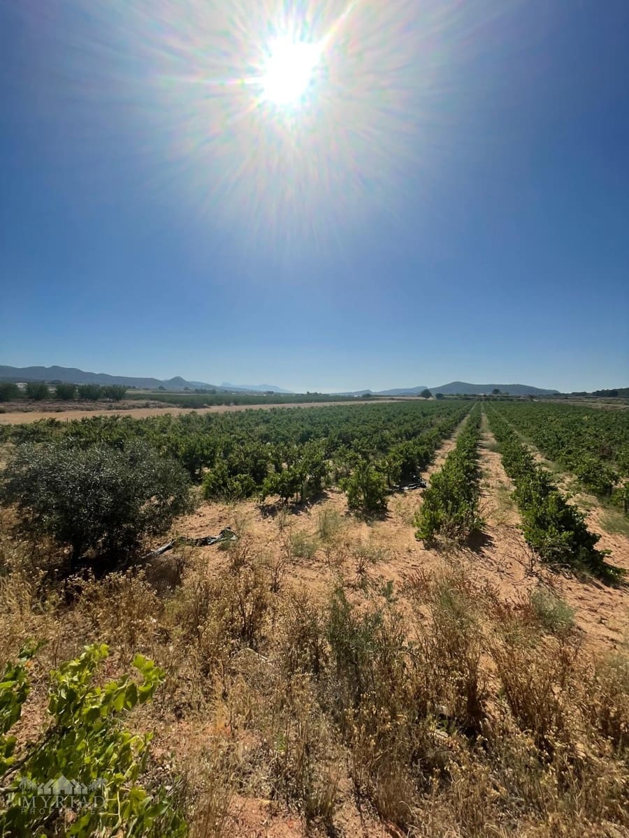 Bouwgrond te koop in Ubeda - € 222.000 (Ref: 10062441)