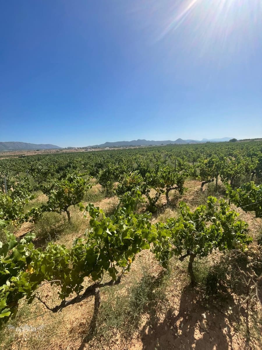 Bouwgrond te koop in Ubeda - € 222.000 (Ref: 10062441)