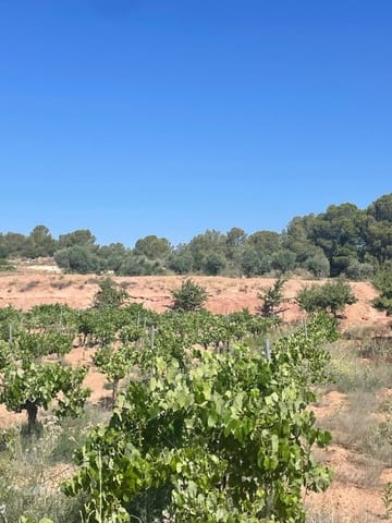 Area Edificabile in vendita in Ubeda, Pinoso - 222.000 € (Rif: 10062441)