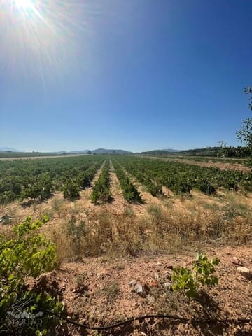 Area Edificabile in vendita in Ubeda, Pinoso - 222.000 € (Rif: 10062441)