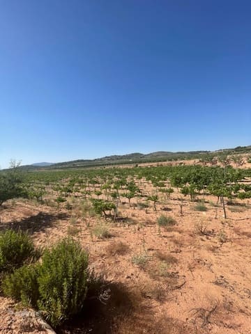 Area Edificabile in vendita in Ubeda, Pinoso - 222.000 € (Rif: 10062441)