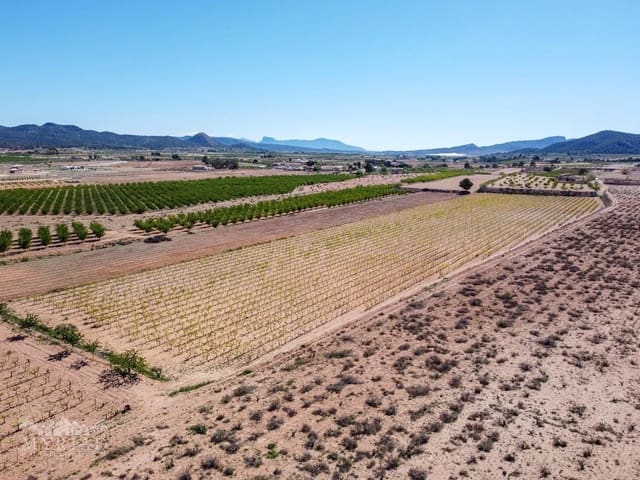 Area Edificabile in vendita in Ubeda, Pinoso - 222.000 € (Rif: 10062441)