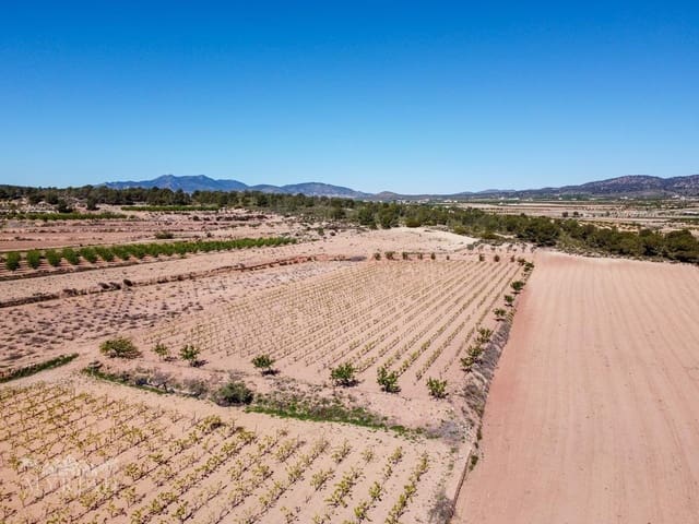 Area Edificabile in vendita in Ubeda, Pinoso - 222.000 € (Rif: 10062441)