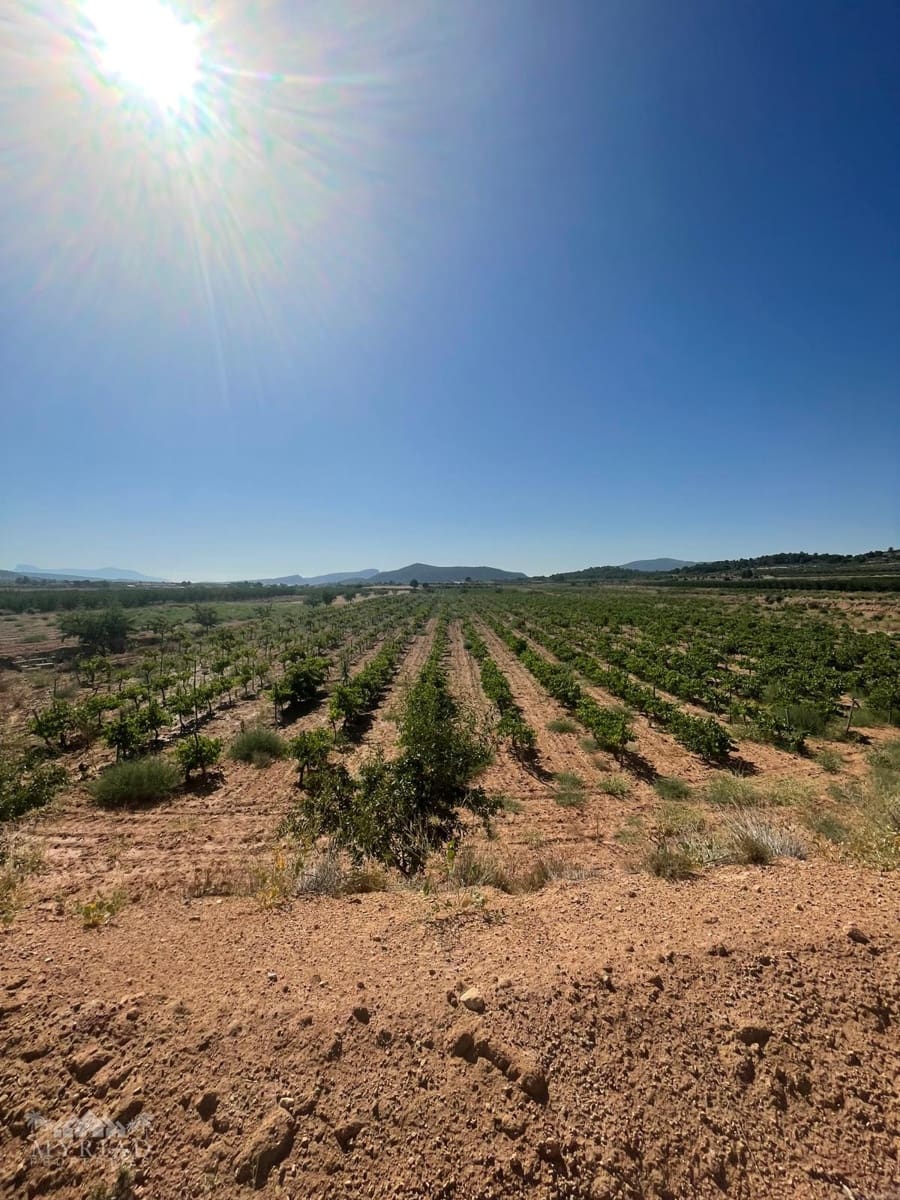 Bouwgrond te koop in Ubeda - € 222.000 (Ref: 10062441)