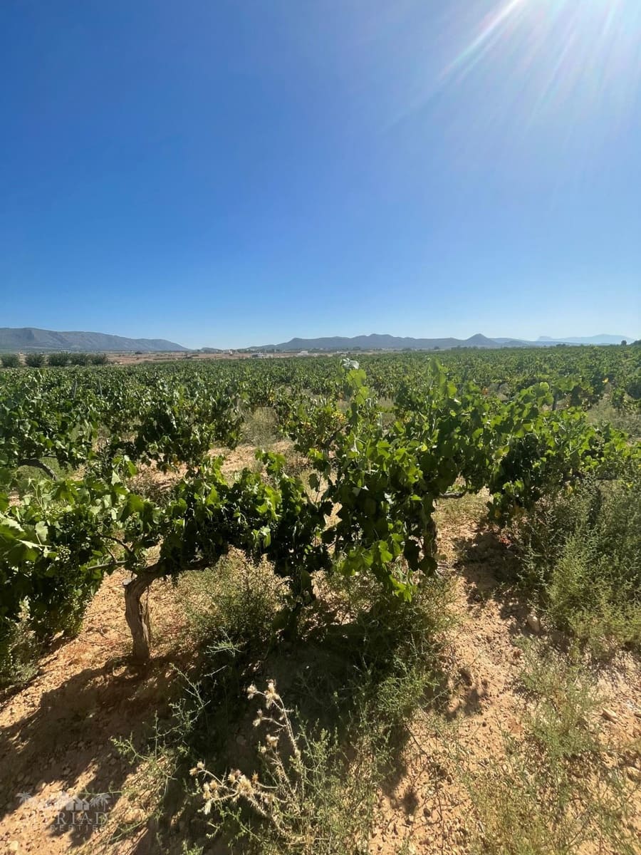 Bouwgrond te koop in Ubeda - € 222.000 (Ref: 10062441)