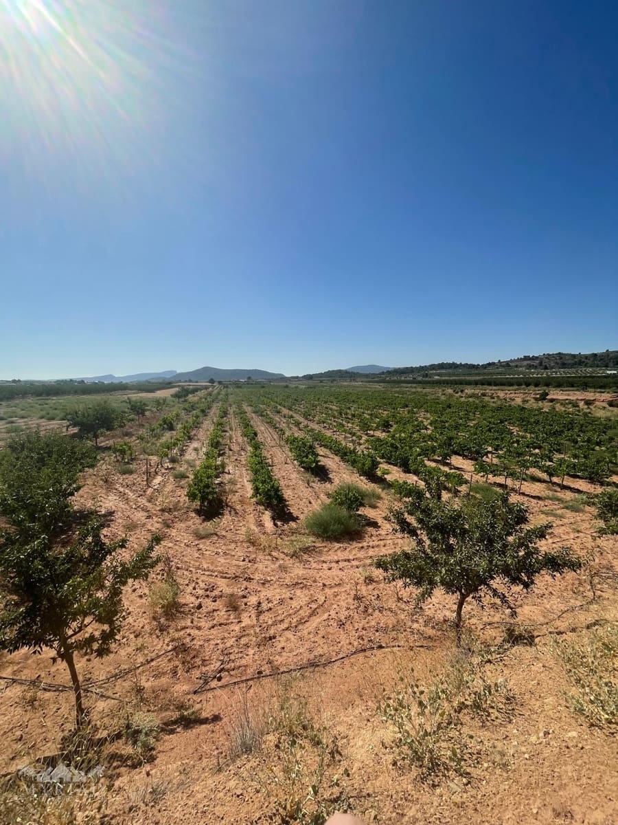 Bouwgrond te koop in Ubeda - € 222.000 (Ref: 10062441)