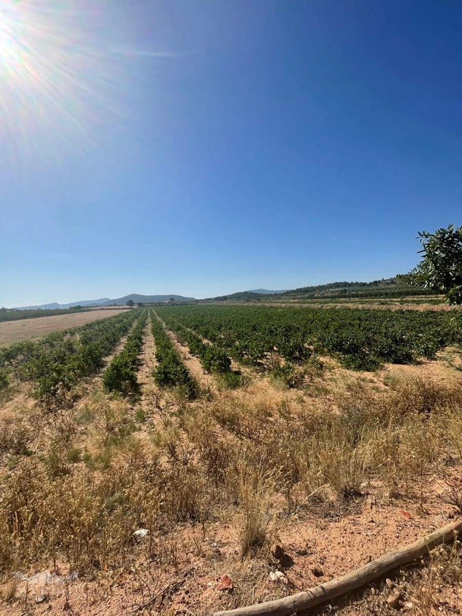 Bouwgrond te koop in Ubeda - € 222.000 (Ref: 10062441)
