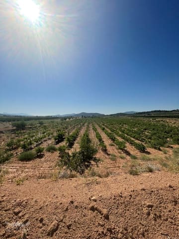 Area Edificabile in vendita in Ubeda, Pinoso - 222.000 € (Rif: 10062441)
